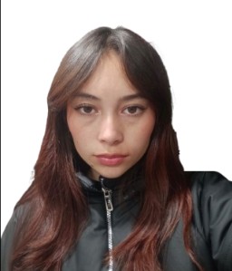 Liceth Tatiana Ruiz Sánchez