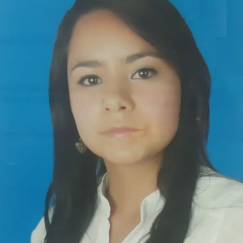 DIANA CAROLINA PINZÓN PÉREZ