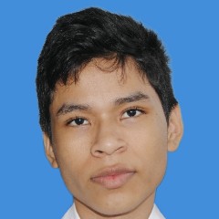 Luis Carlos Mesa Quisacue