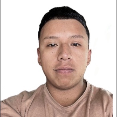 Julián Camilo Botina Pejendino