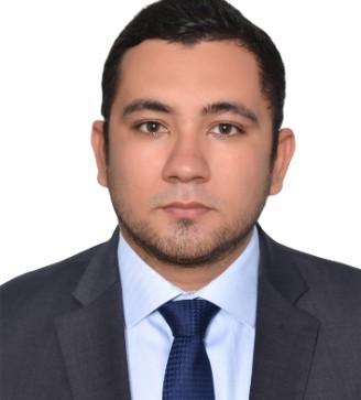 José David Domínguez Franco