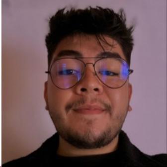 DAVID JOSE PULIDO FANDIÑO