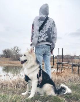 Koda Quintana