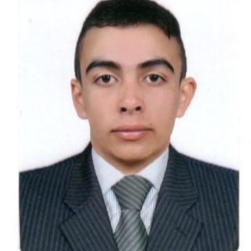 CRISTIAN ALONSO TORRES PEREZ