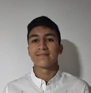 Johan Camilo Bolivar Moreno
