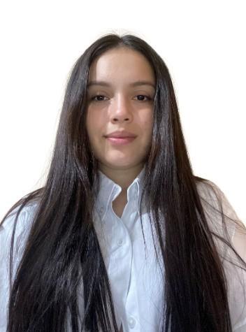 DANNA CAMILA VILLARREAL PEÑA
